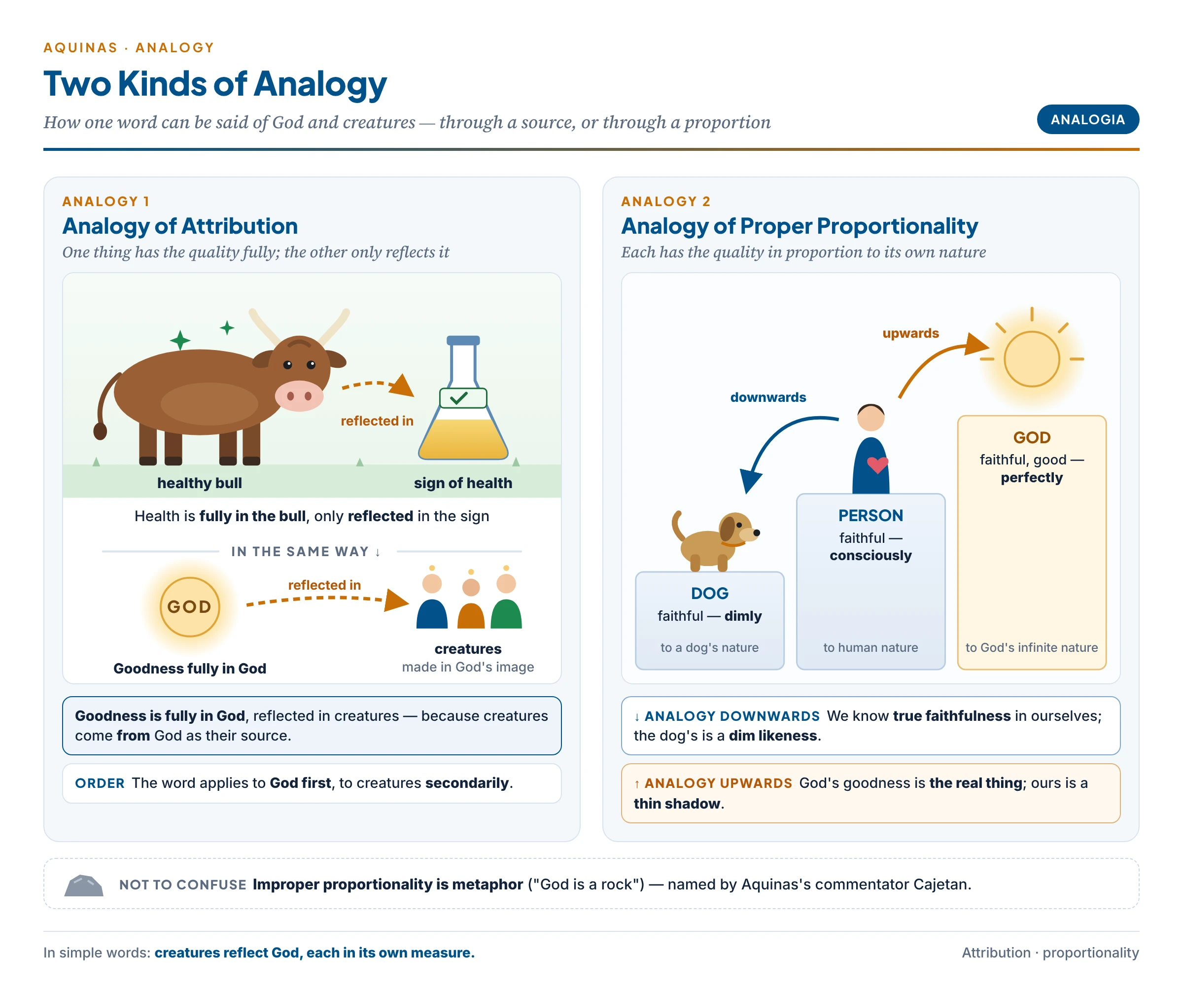 Aquinas's two analogies illustrated: the analogy of attribution — a healthy bull and its healthy urine, health existing fully in the bull and only reflected in the sign, as goodness exists fully in God and is reflected in creatures — and the analogy of proportionality — faithfulness at the level of a dog, a human and God, each in proportion to its nature, with the downward and upward directions of knowing