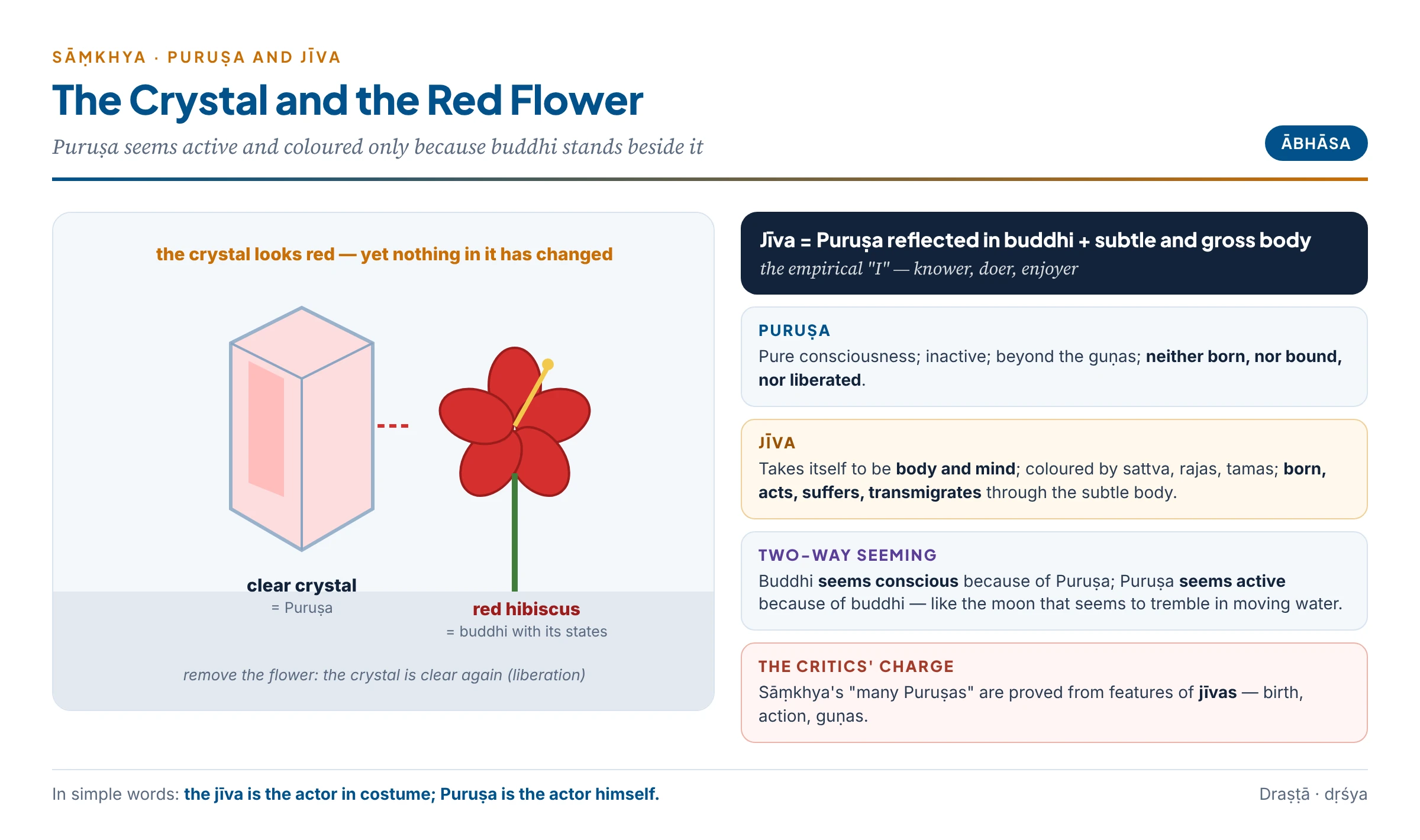 The crystal and the red flower: Puruṣa beside buddhi looks active and coloured, and the jīva is this reflected, embodied self