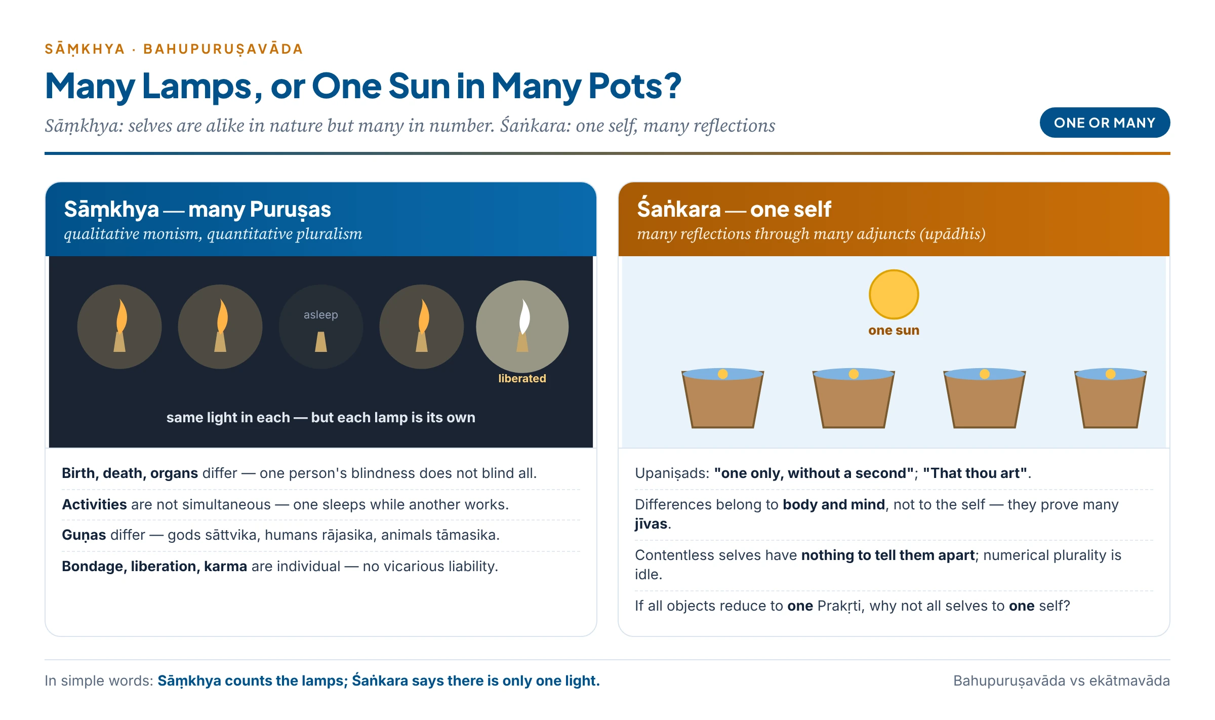 Many Puruṣas or one? Sāṃkhya's many lamps with the same light, against Advaita's one sun reflected in many water-pots