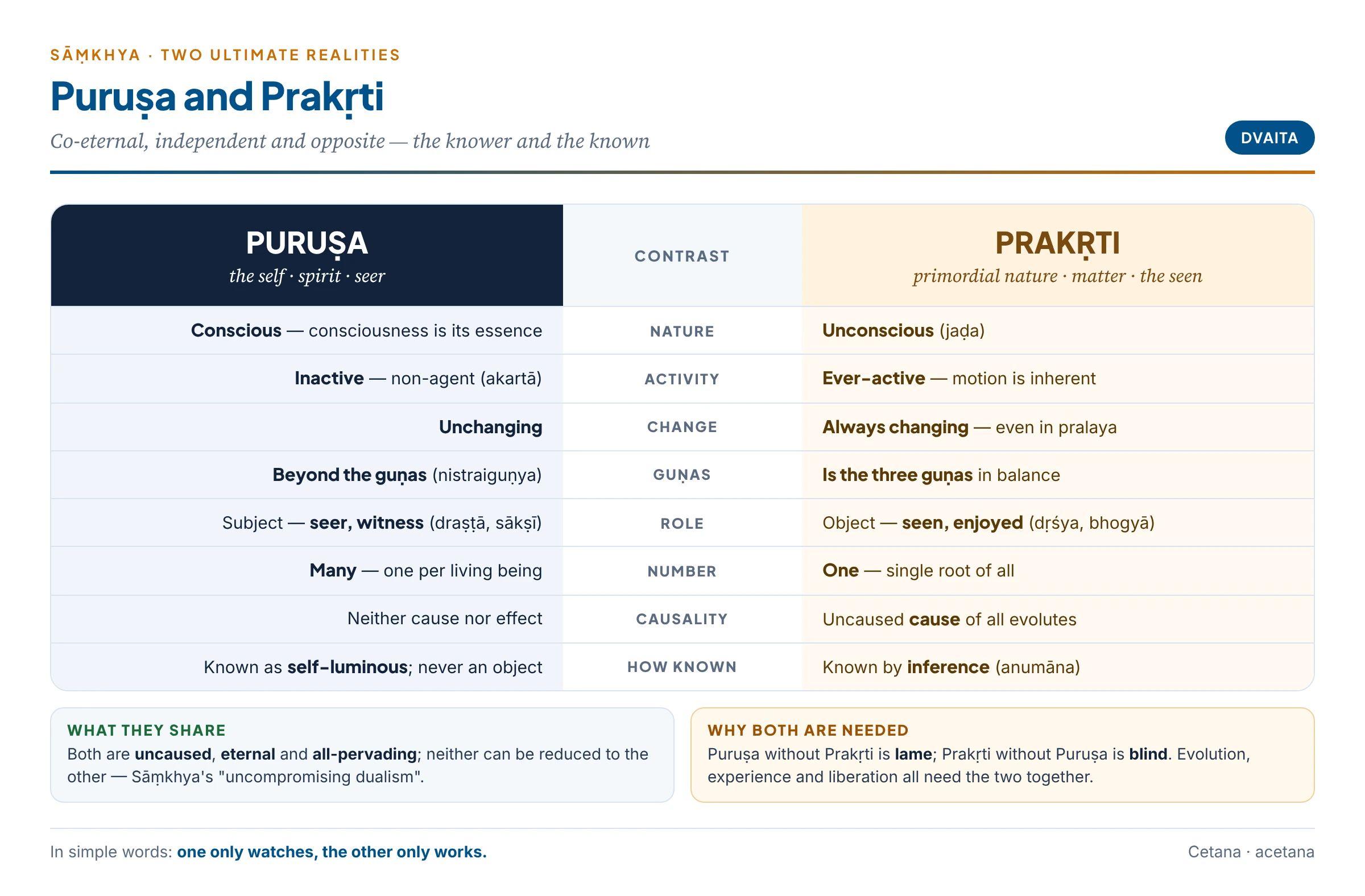 Puruṣa and Prakṛti side by side: conscious against unconscious, inactive against active, many against one, beyond the guṇas against made of them