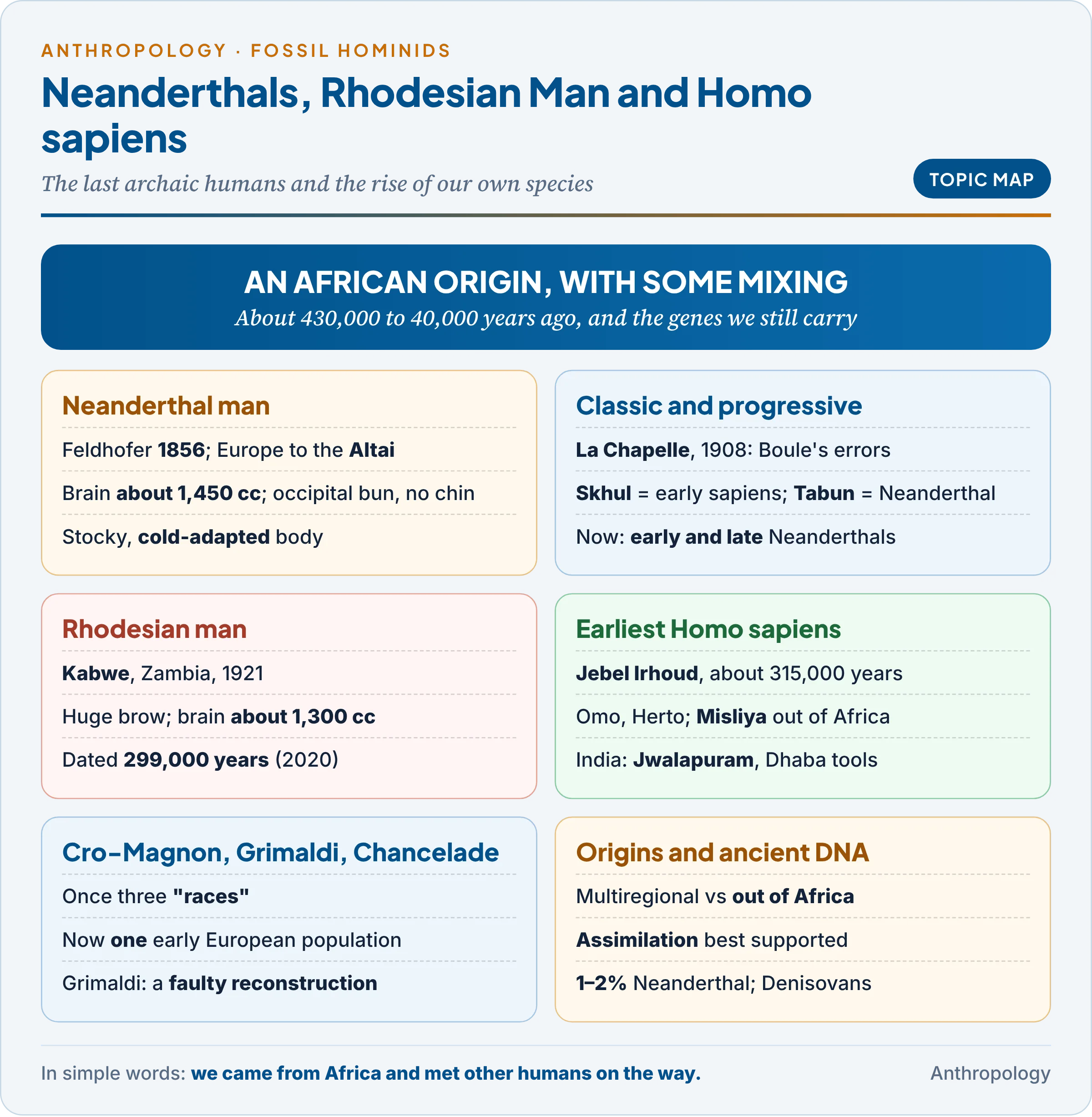 Topic map: Neanderthals (classic and progressive), Rhodesian man, the earliest Homo sapiens, the Upper Palaeolithic finds of Europe, the models of modern human origins and ancient DNA