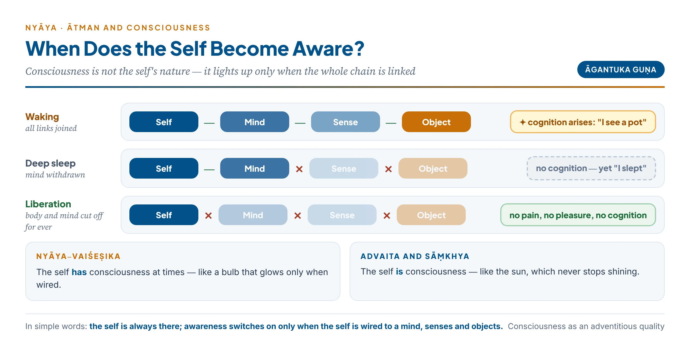 Consciousness lights up in the self only when self, mind, sense and object are linked; in deep sleep the link is broken; in liberation it is cut for ever