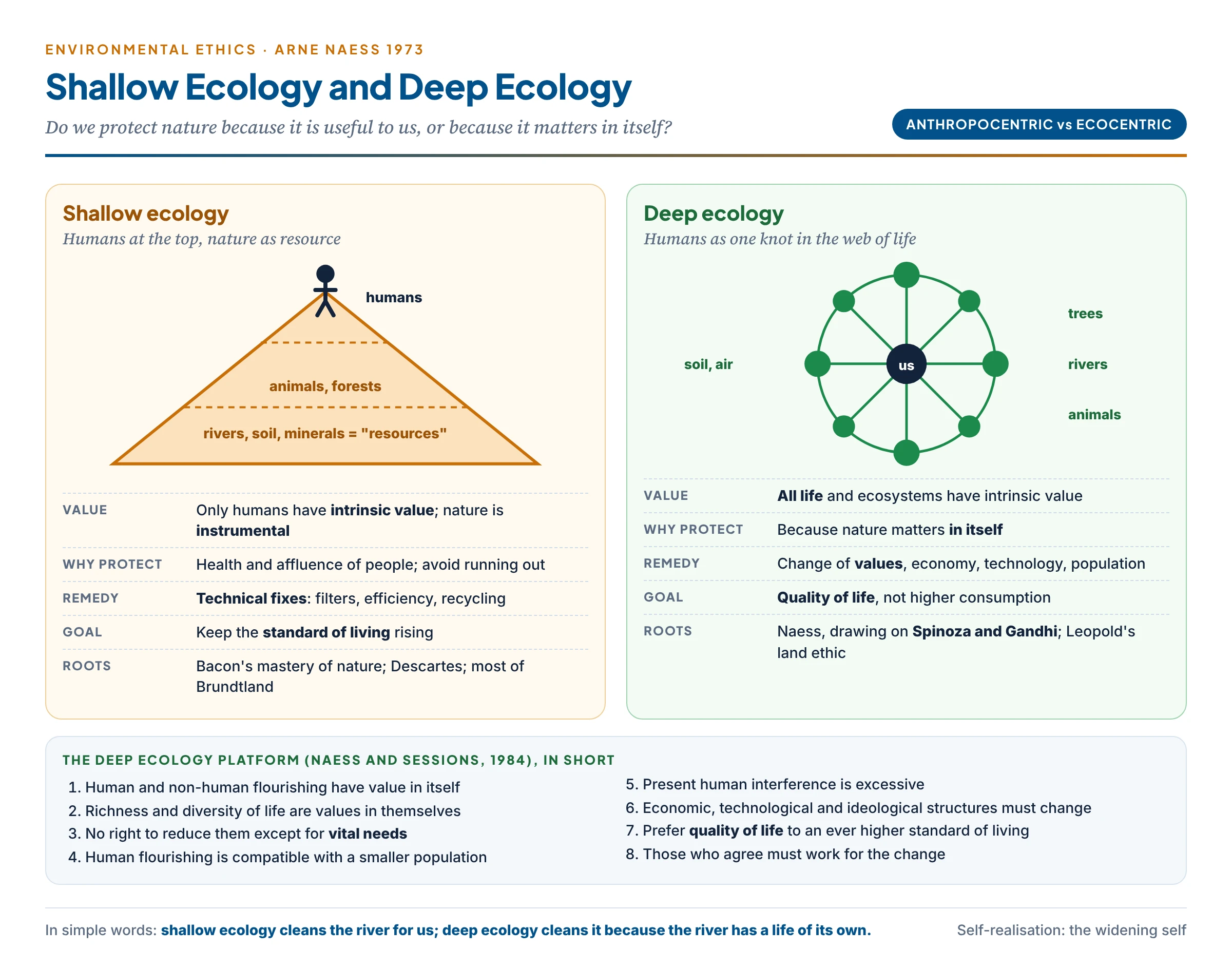 Two lanes compared: on the shallow-ecology lane a person stands above a pyramid of trees, animals and rivers labelled resources, aiming at a higher standard of living through technical fixes; on the deep-ecology lane the person stands inside a circle of interlinked life forms, aiming at a better quality of life through a change of values, with Naess's eight-point platform summarised alongside