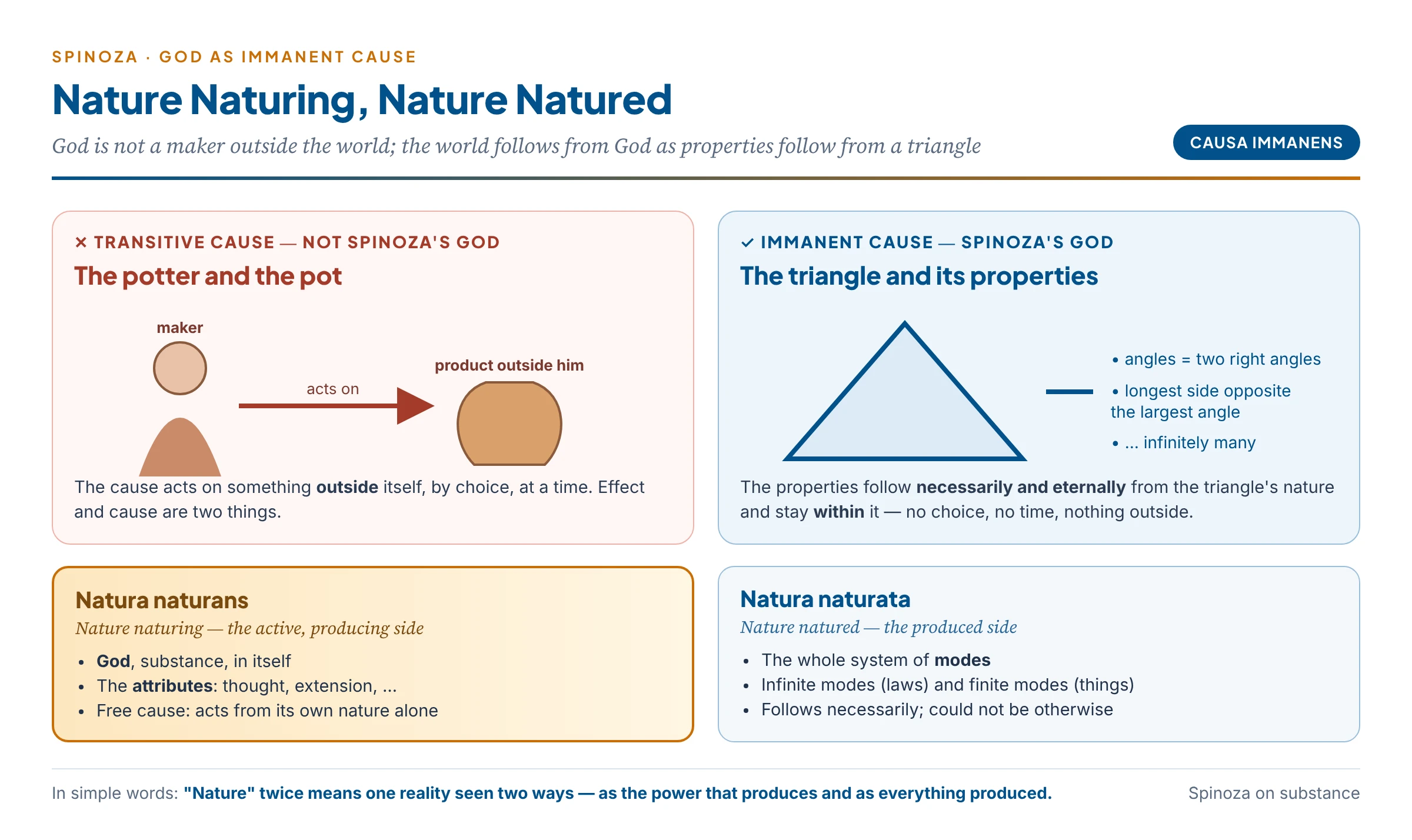 Natura naturans and natura naturata: God as the immanent cause from which all things follow as properties follow from the nature of a triangle — contrasted with a potter who makes a pot outside himself