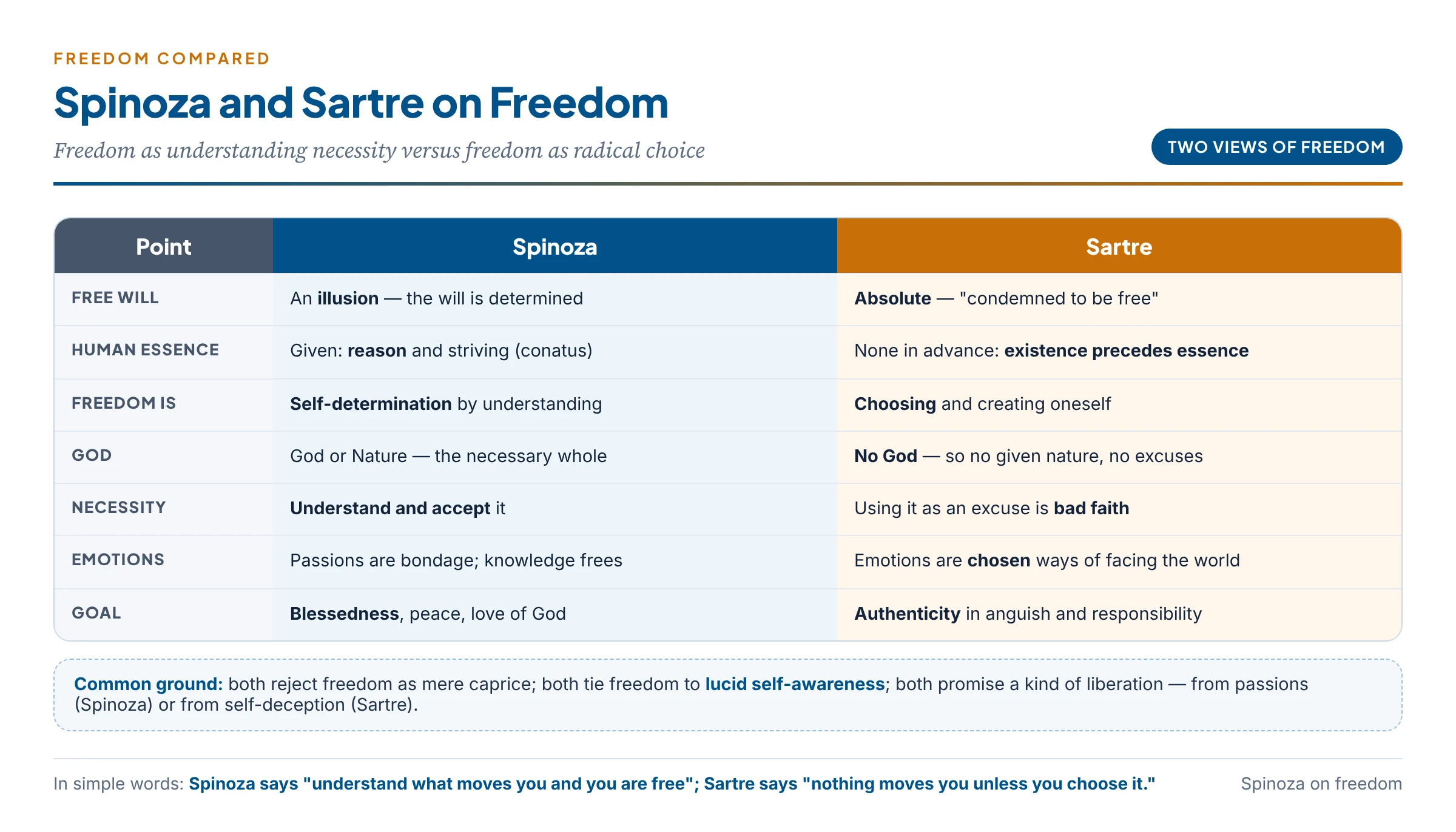 Spinoza and Sartre compared: freedom as understanding necessity versus freedom as radical choice, with their views on essence, God, emotions and the goal of life