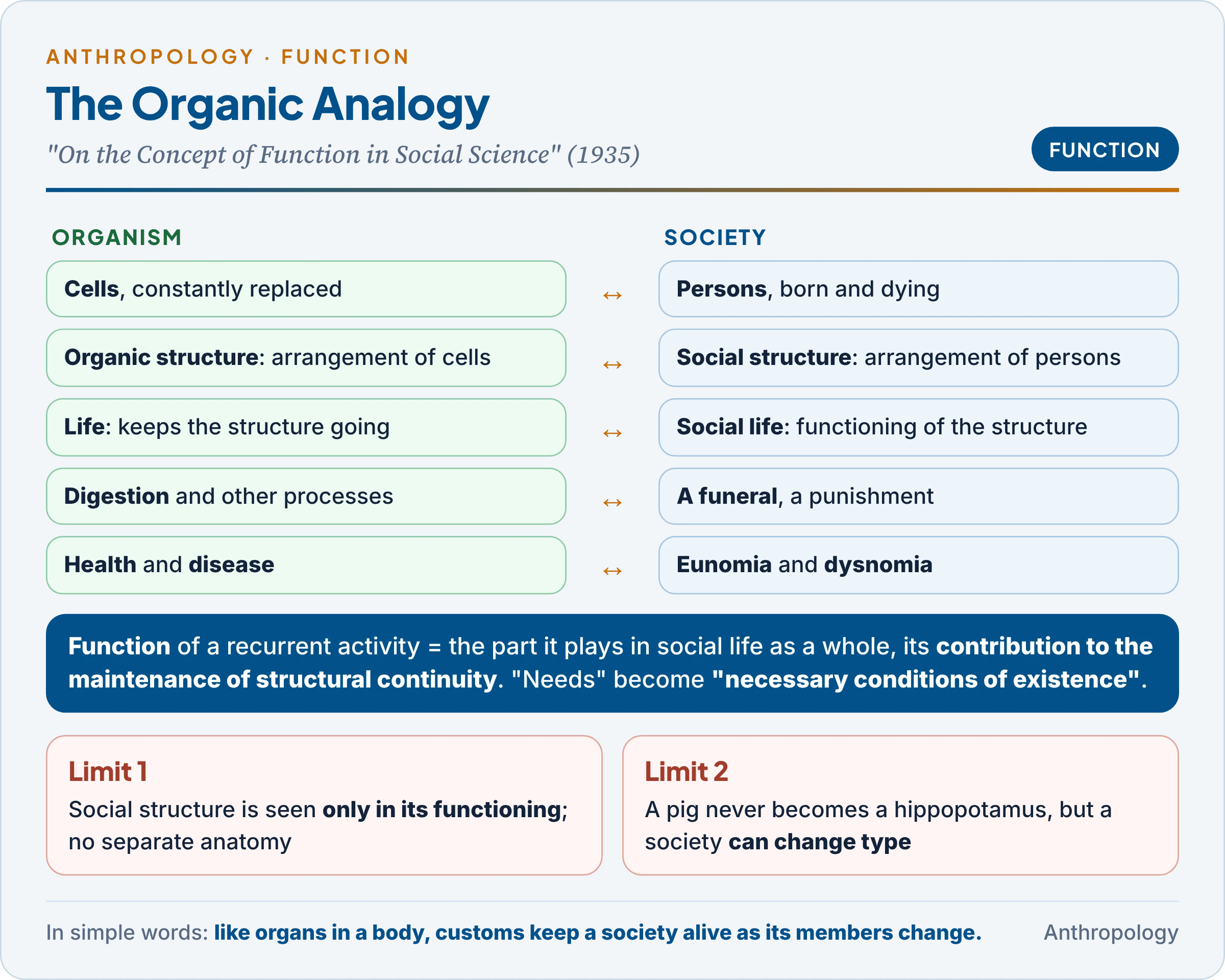 The organic analogy: cells, organic structure and life matched to persons, social structure and social life, with the 1935 definition of function as the contribution of a recurrent activity to structural continuity, functional unity, eunomia and dysnomia, and the two points where the analogy breaks down