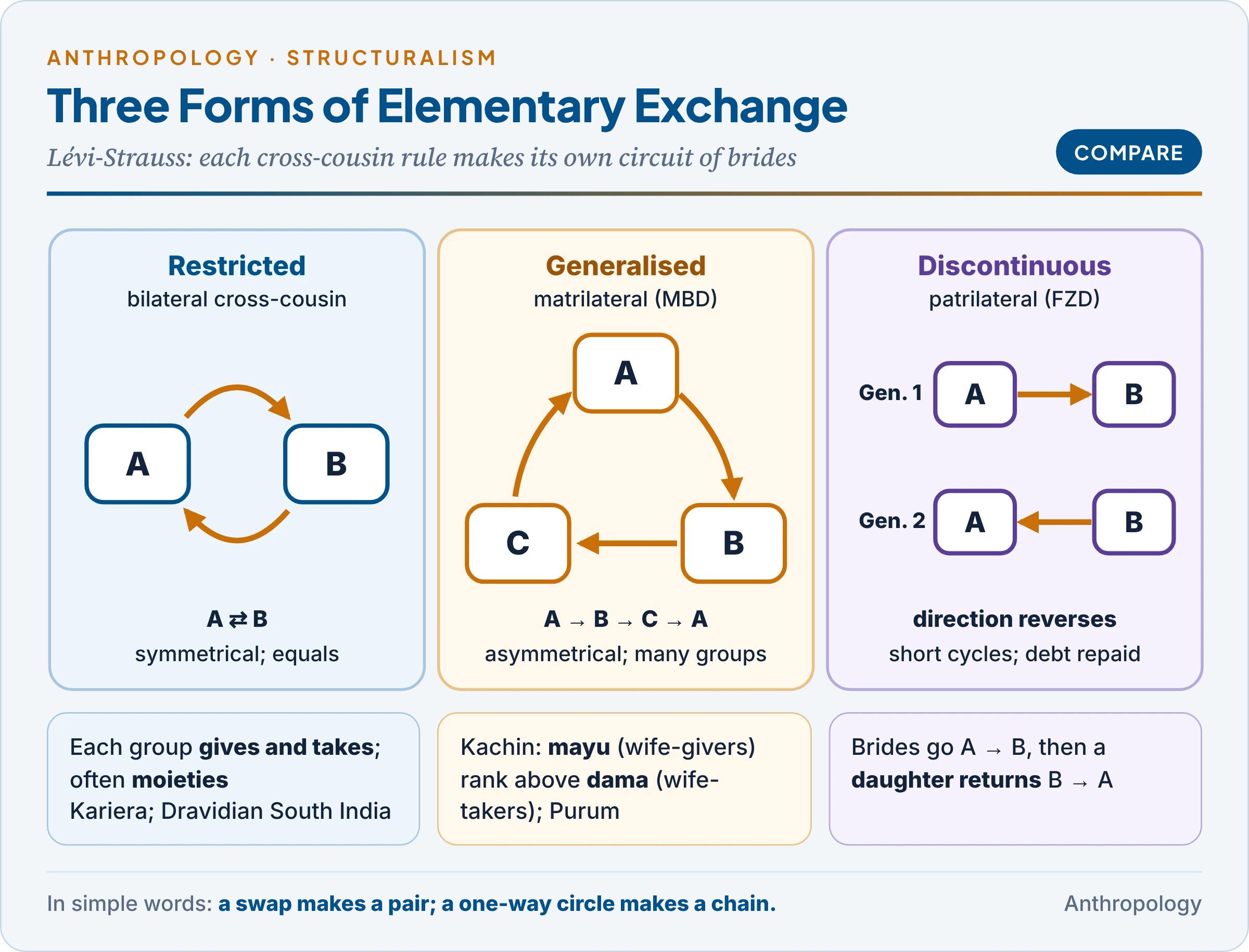 Three forms of elementary exchange: restricted exchange between two groups through bilateral cross-cousin marriage, generalised exchange in a one-way circle A to B to C through matrilateral marriage with the Kachin mayu-dama example, and discontinuous exchange through patrilateral marriage, reversing each generation