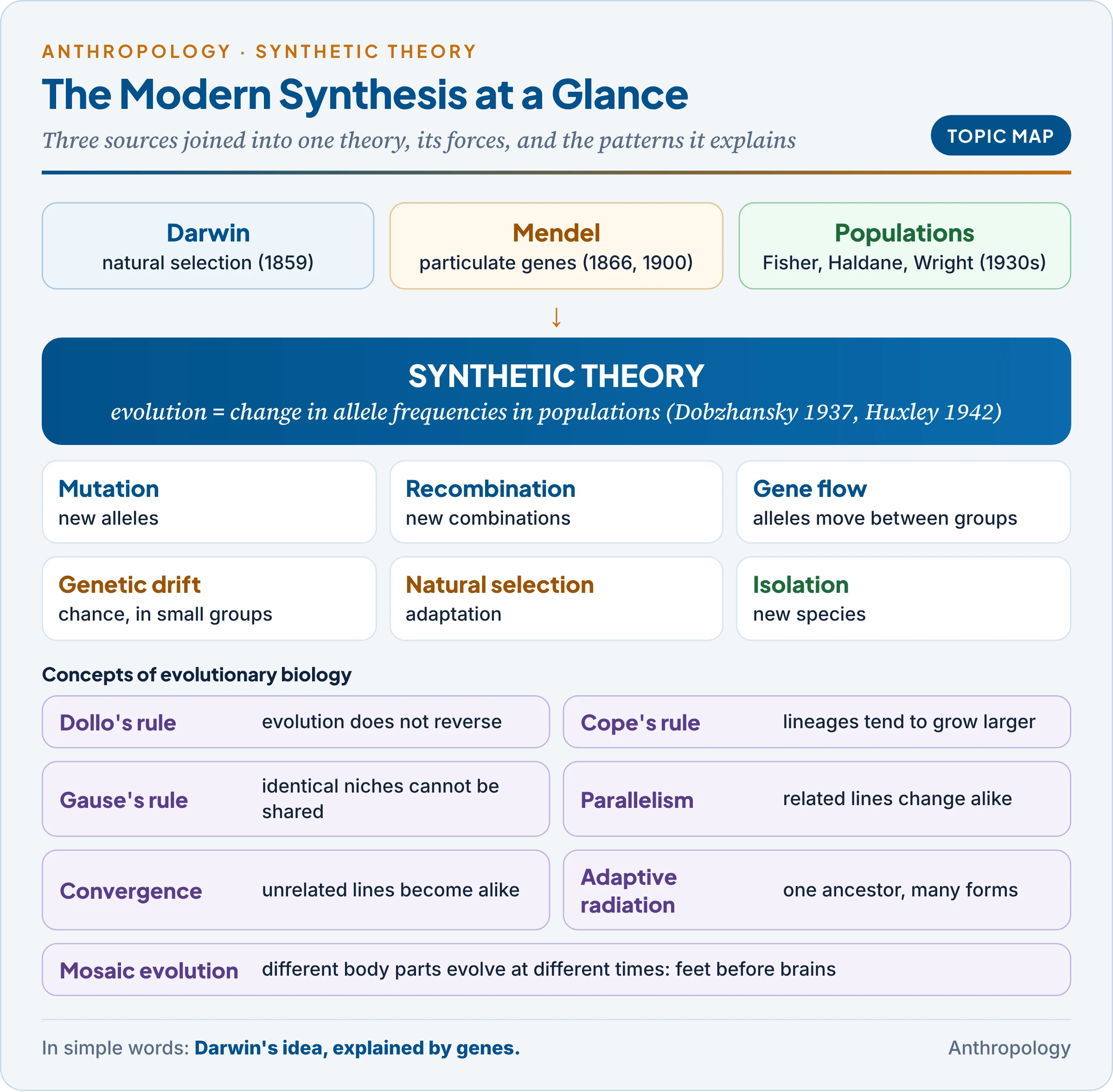 Topic map: the synthetic theory, its forces, the patterns of evolution and the rules of evolutionary biology