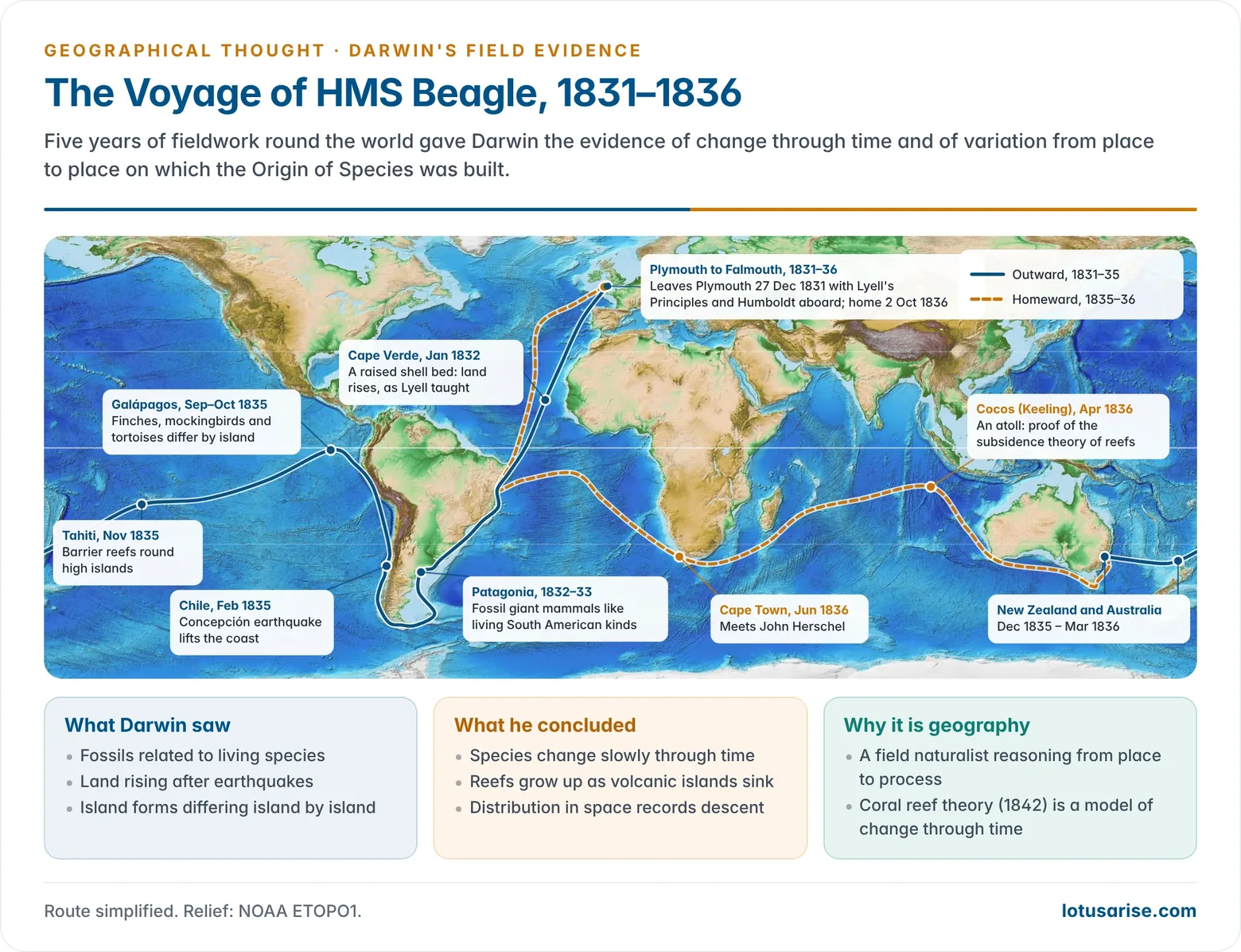 World relief map of the voyage of HMS Beagle from 1831 to 1836, from Plymouth via Brazil, Patagonia, Tierra del Fuego and the Chilean coast to the Galápagos, then across the Pacific to Tahiti, New Zealand, Australia, the Cocos Keeling Islands and the Cape, marking the fossils, earthquake, finches and coral atolls that shaped Darwin's ideas
