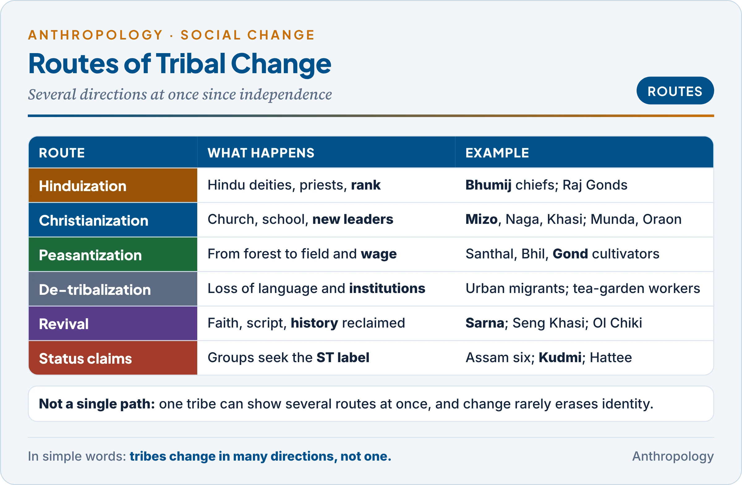 Routes of social change among tribes after independence: Sanskritization and Hinduization, Christianization, peasantization and wage labour, revival and identity assertion, and claims to tribal status, with an Indian example for each