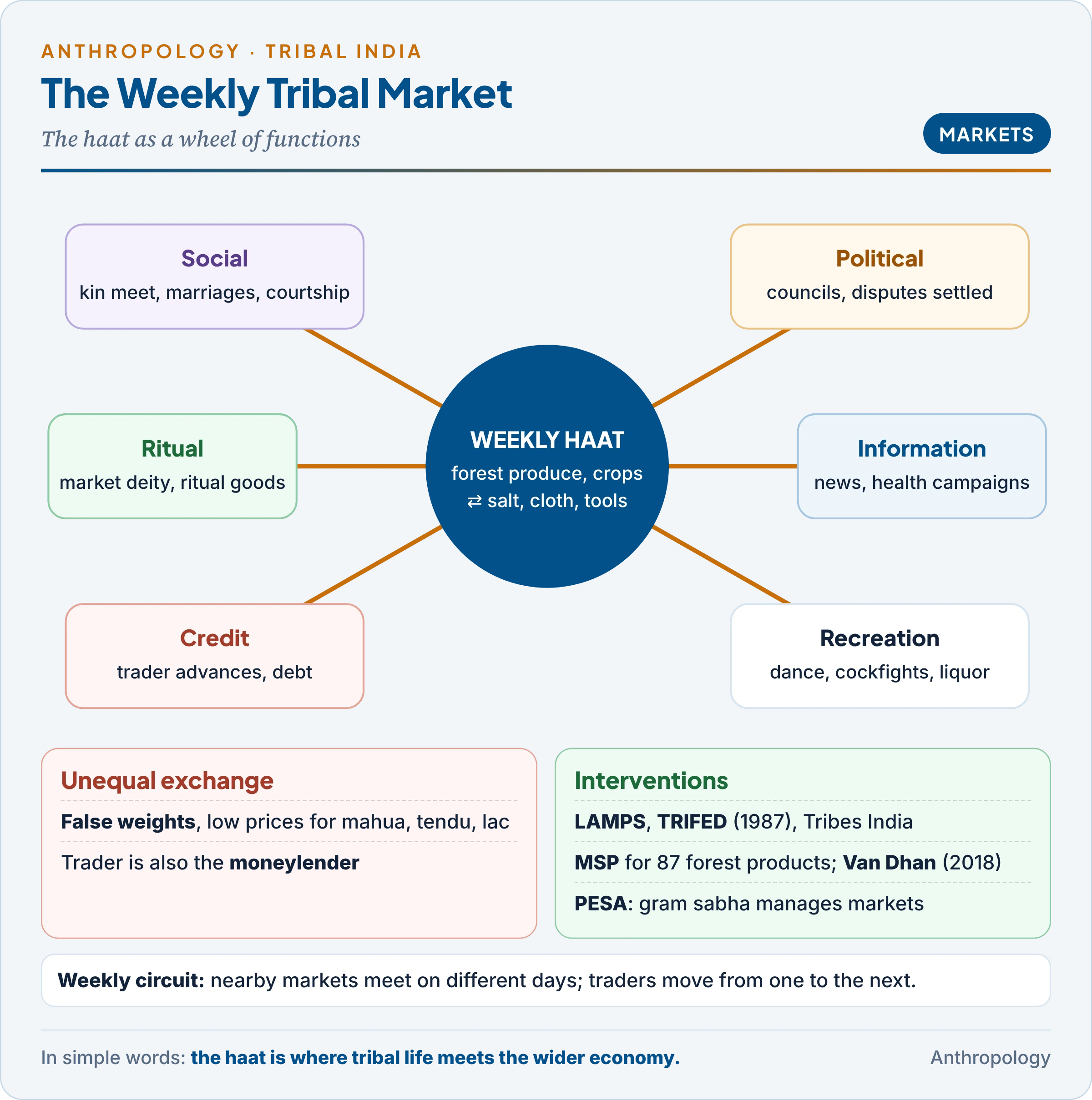 The tribal weekly market (haat) as a wheel of functions: economic exchange of forest produce and goods at the hub, surrounded by social meeting and courtship, councils and dispute settlement, ritual, news and campaigns, and recreation, with the weekly circuit of markets, the trader-moneylender's unequal exchange, and interventions from LAMPS and TRIFED to MSP for forest produce, Van Dhan Kendras and gram sabha control under PESA