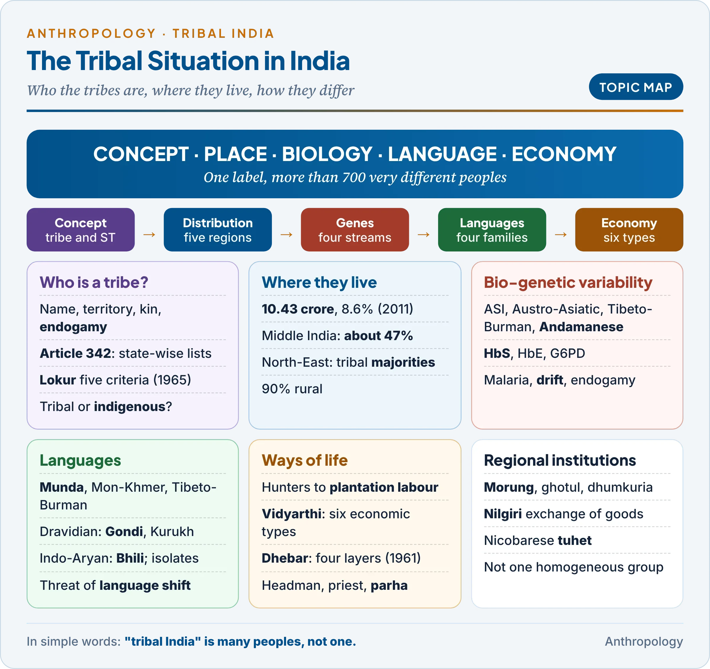 Topic map: who counts as a tribe and a Scheduled Tribe, where tribes live, bio-genetic variability and genetic markers, the four language families and tribal languages, socio-economic characteristics and economic types, and regional institutions from the North-East to the Nilgiris and the islands