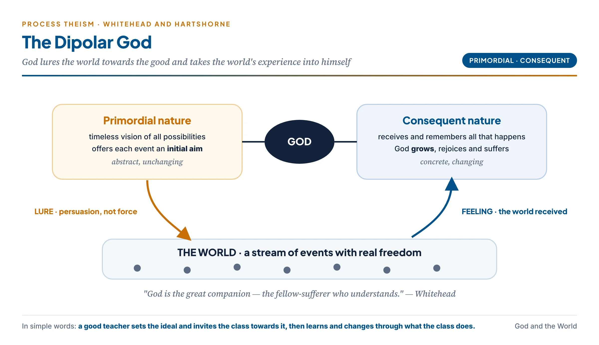 Whitehead's dipolar God: the primordial nature offers every event a lure towards the best possibility; the consequent nature receives and remembers all that happens — God both shapes the world and is shaped by it