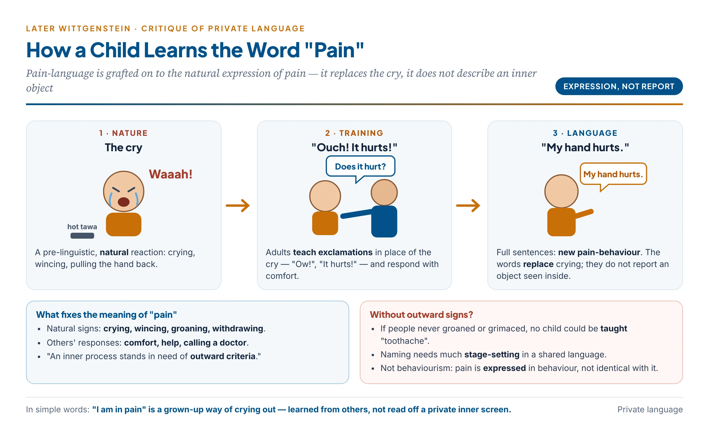 Pain-language grafted on to natural behaviour: the child's cry is replaced first by an exclamation and then by sentences taught by adults