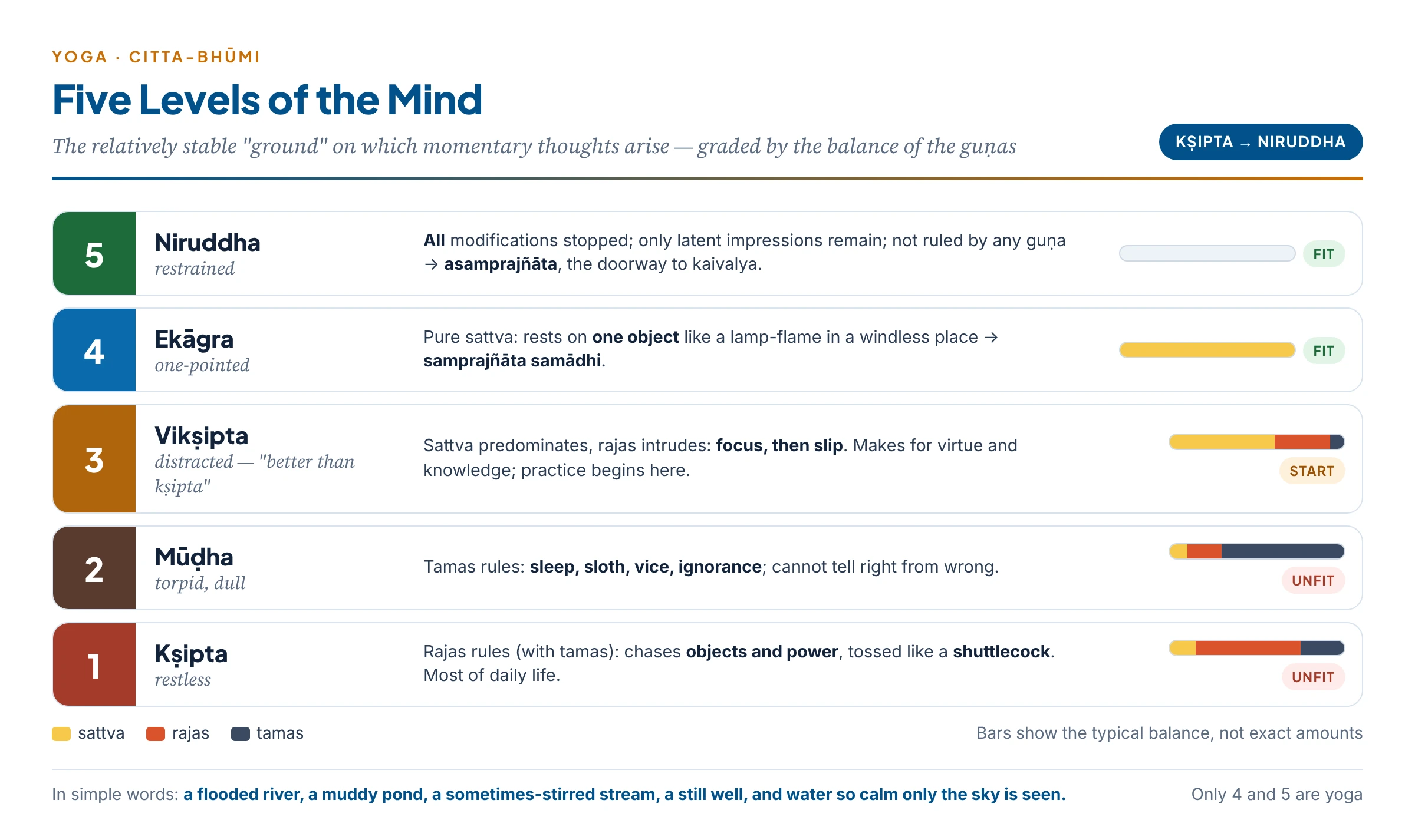 The five levels of the mind as a ladder: kṣipta (rajas), mūḍha (tamas), vikṣipta (sattva with rajas), ekāgra (pure sattva), niruddha (beyond the guṇas) — with the first three marked unfit and the last two fit for yoga