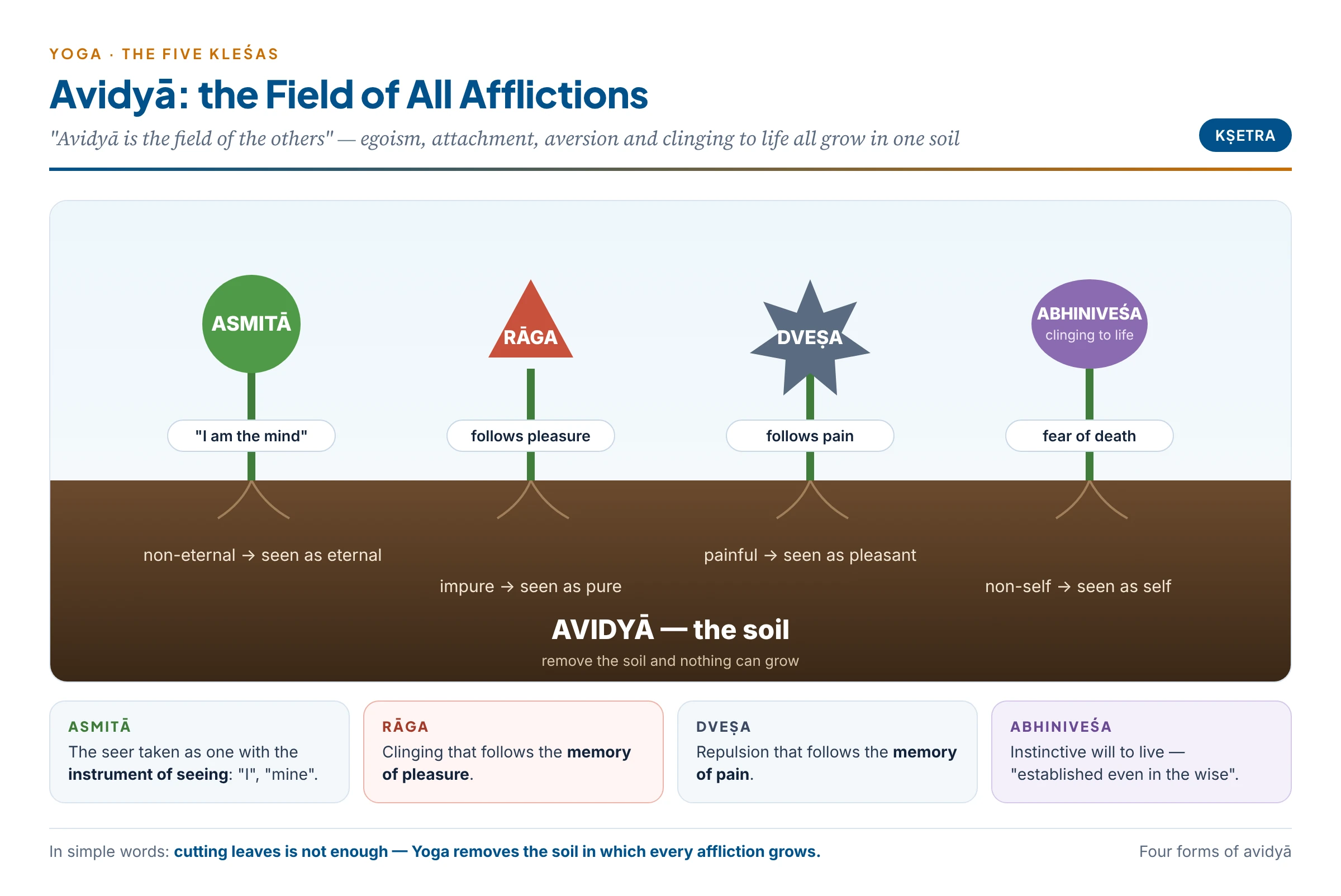 Avidyā as the field in which the other four afflictions grow: asmitā, rāga, dveṣa and abhiniveśa as plants rooted in one soil of ignorance