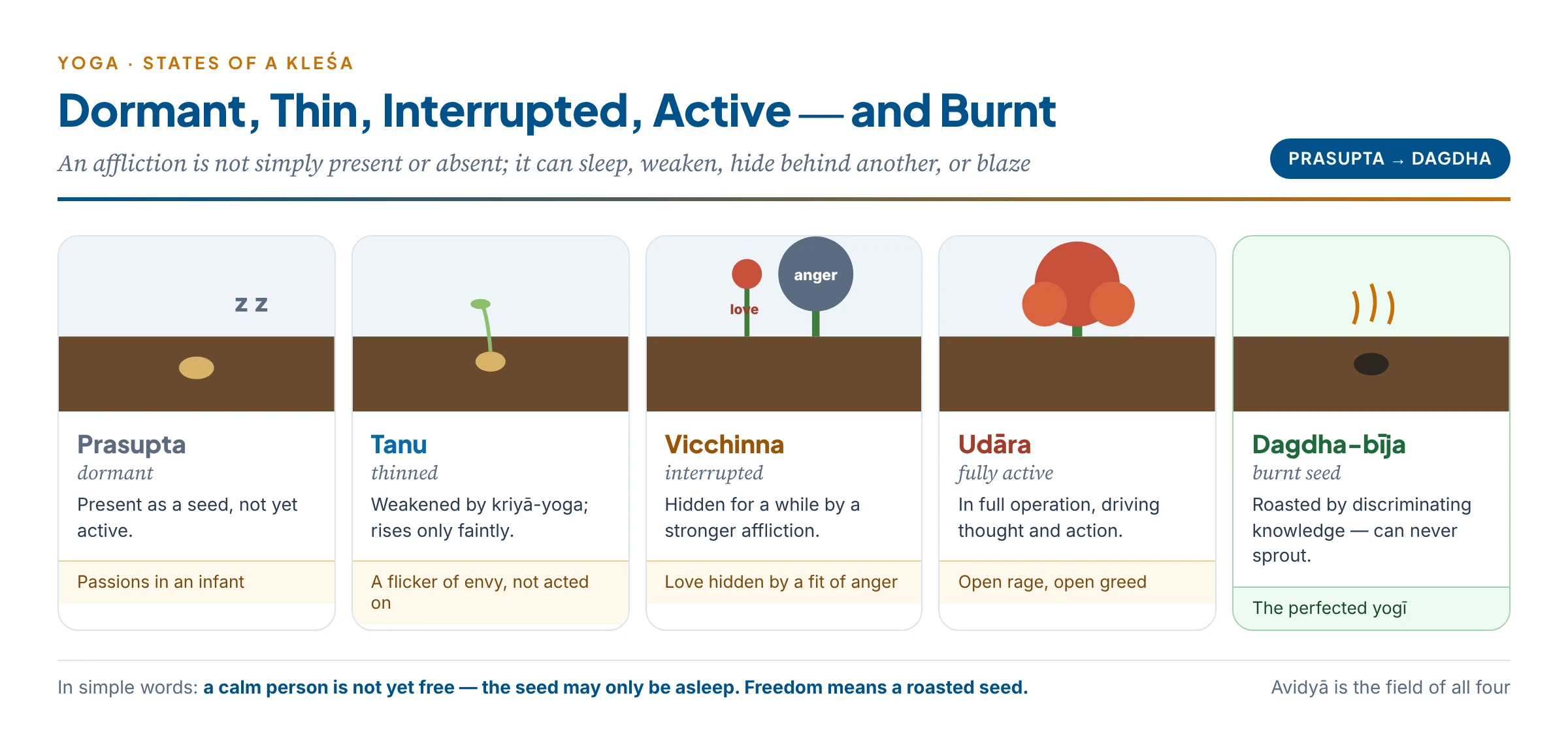 The four states of a kleśa shown as seeds: dormant (asleep in the soil), thinned (a weak sprout), interrupted (hidden by another plant), fully active (a full plant) — and the fifth, a roasted seed that can never sprout