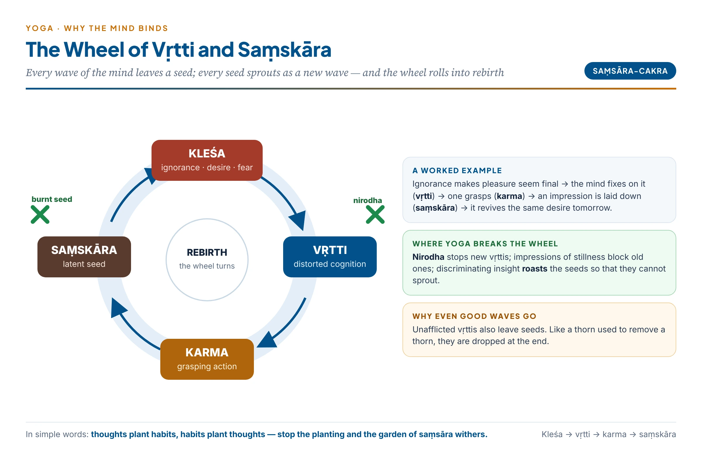 The wheel of saṃsāra in Yoga: kleśa → vṛtti → karma → saṃskāra → new vṛtti, with nirodha breaking the wheel at the vṛtti and saṃskāra stages